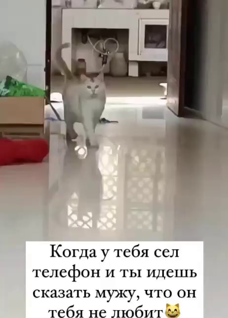 Когда у тебя сел телефон и ты идешь сказать мужу, что он тебя не любит - АйДаПрикол